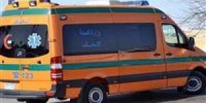 إصابة 3 أشخاص إثر سقوط حمولة زلط لسيارة نقل فى البساتين - وضوح نيوز