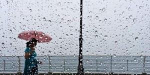 توقعات بسقوط أمطار.. الأرصاد الجوية تكشف حالة الطقس غدًا الأحد 14 ديسمبر 2025 - وضوح نيوز