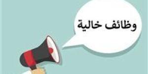 وزارة العمل تعلن عن 747 فرصة عمل جديدة في شركات خاصة بالجيزة - وضوح نيوز