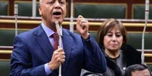 ألحقت أذى نفسيا بالمواطنين.. طلب إحاطة عاجل من النائب مصطفى بكري بشأن «عيادة الكلاب بالتبين» - وضوح نيوز