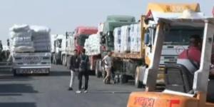 نائب الرئيس التركي يعرب عن تقدير بلاده لدور مصر في وقف الحرب على قطاع غزة - وضوح نيوز