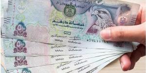 سعر الدرهم الإماراتي مقابل الجنيه المصري اليوم السبت 20 ديسمبر 2025 بيعًا وشراءً - وضوح نيوز