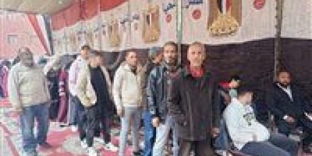 انتظام سير العملية الانتخابية في الدوائر الملغاة بمحافظة المنيا - وضوح نيوز