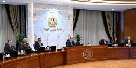 مصر.. قرار جديد من مجلس الوزراء بشأن محطات توليد الكهرباء بجبل الزيت - وضوح نيوز