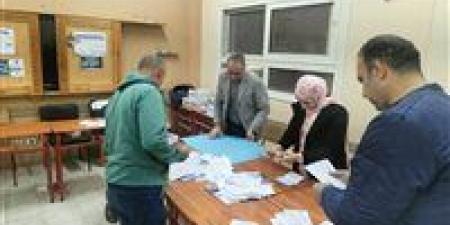 استمرار عمليات الفرز بدوائر الجيزة في اللجان الفرعية قبل الحصر العددي (صور) - وضوح نيوز