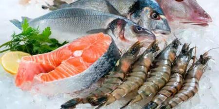 أسعار الأسماك اليوم الجمعة 12 ديسمبر 2025 - وضوح نيوز