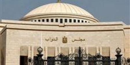 النائب أيمن محسب: اتصال الرئيس السيسي وماكرون يعكس توافق مصري ـ فرنسي حول حتمية حل الدولتين كمدخل وحيد للسلام - وضوح نيوز