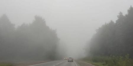 «احذروا أثناء القيادة».. الأرصاد تحذر من حالة الطقس غدًا الأحد 14 ديسمبر 2025 - وضوح نيوز