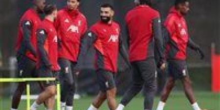 تاريخ المواجهات يبتسم للريدز.. ليفربول يتحدى برايتون في الجولة الـ16 من البريميرليج - وضوح نيوز