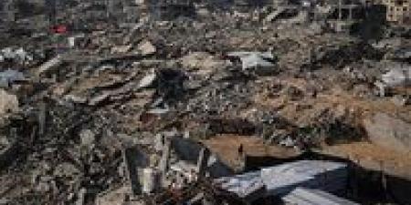 برلمانى: غزة تعيش كارثة إنسانية متعمدة.. والمجتمع الدولي يتحمل المسؤولية بالصمت - وضوح نيوز