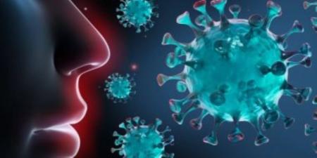 الصحة: فيروس إنفلونزا H1N1 يسيطر على إصابات الشتاء بنسبة 60% - وضوح نيوز