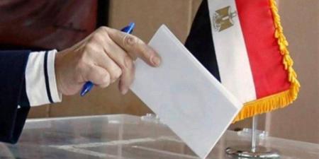 متى تنتهى انتخابات مجلس النواب 2025 بشكل نهائى؟.. اعرف التفاصيل - وضوح نيوز