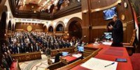 برلماني: مركز التجارة الإفريقي يعزز نفوذ مصر الاقتصادي في القارة ويخلق فرصًا واعدة للصناعات الوطنية - وضوح نيوز