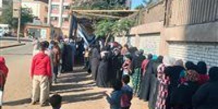 تحيا مصر ينشر كافة تفاصيل جولة الإعادة للمرحلة الثانية من انتخابات النواب بدوائر المنوفية - وضوح نيوز