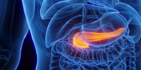 كشف علمي واعد يفتح الباب للتنبؤ المبكر بسرطان البنكرياس عبر «بصمة وراثية» - وضوح نيوز