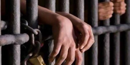 المؤبد لشقيقين بتهمة الاتجار في الشابو والحشيش بقنا - وضوح نيوز