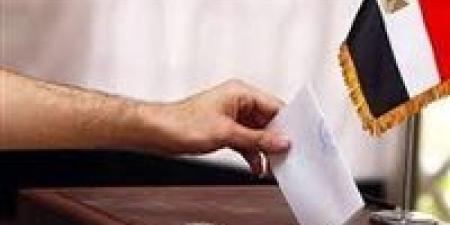 تحيا مصر يرصد.. خريطة مرشحي الأحزاب والمستقلين في جولة الإعادة للمرحلة الثانية من انتخابات مجلس النواب 2025 - وضوح نيوز