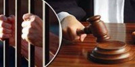 تأجيل محاكمة 9 متهمين بـ«خلية المطرية» لجلسة فبراير 2026 - وضوح نيوز