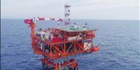 حصاد 2025.. أكبر كشف عن الغاز بالبحر المتوسط بتوجيهات الرئيس السيسي - وضوح نيوز