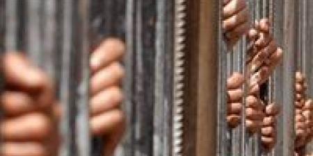 الاقتصادية تؤجل نظر استئناف عفاف شعيب في دعوى التعويض ضد محمد سامي - وضوح نيوز