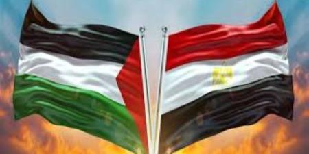 مصر ترحب باعتماد الجمعية العامة للأمم المتحدة قرارين يؤكدان الحقوق غير القابلة للتصرف للشعب الفلسطيني - وضوح نيوز