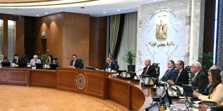 الحكومة: إصدار تشريع خاص لحماية المطورين الجادين ومحاسبة غير الجادين - وضوح نيوز