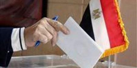 غلق باب التصويت في اليوم الثاني بعدد من لجان الاقتراع بالخارج - وضوح نيوز