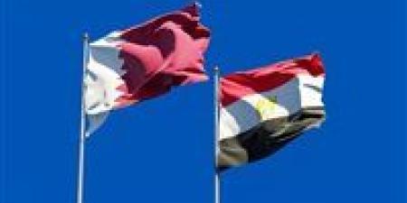 المستوردين: الشراكة المصرية القطرية تدخل مرحلة استراتيجية بدعم استثمارات 7.5 مليار دولار - وضوح نيوز