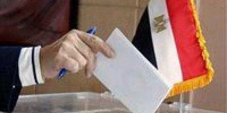 لليوم الثاني.. السفارة المصرية في طهران تواصل استقبال الناخبين في انتخابات مجلس النواب - وضوح نيوز