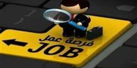 الحق قدم بسرعة..طريقة سهلة للتقديم لوظائف وزارة الكهرباء 2025 - وضوح نيوز