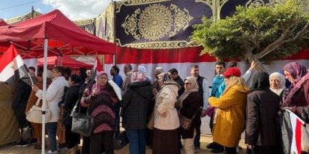 مصر.. بدء التصويت في جولة الإعادة للمرحلة الثانية بانتخابات مجلس النواب 2025 داخل 13 محافظة - وضوح نيوز