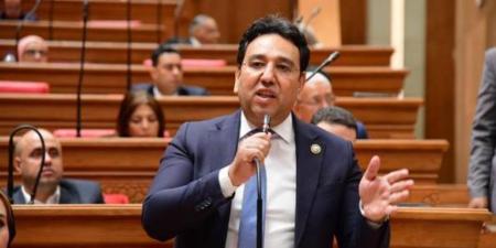 النائب أيمن محسب: الخروقات الإسرائيلية تهدد استدامة وقف إطلاق النار وتعرقل المرحلة الثانية من الاتفاق - وضوح نيوز