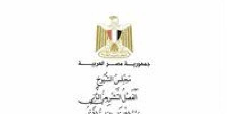بين الردع والإنصاف.. تعديلات «الكهرباء» في الشيوخ تعيد ضبط ميزان العقوبة وتفتح باب التصالح - وضوح نيوز