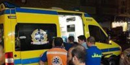 بينهم فتيات.. أسماء ضحايا ومصابي حادث انقلاب سيارة واشتعالها بالطريق الإقليمي - وضوح نيوز