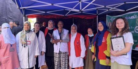 انتشار الفرق الطبية في محيط اللجان الانتخابية بالمنوفية - وضوح نيوز