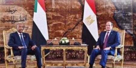 صحفي لـ dmc: مصر ترسم خطوطًا حمراء في السودان ولن تسمح بتقسيمه - وضوح نيوز