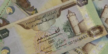 سعر الدرهم الإماراتي مقابل الجنيه المصري اليوم الجمعة 19 ديسمبر 2025 - وضوح نيوز