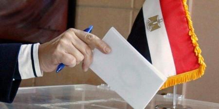 ننشر الحصر العددي لدوائر جولة الإعادة بانتخابات النواب بالمنوفية - وضوح نيوز