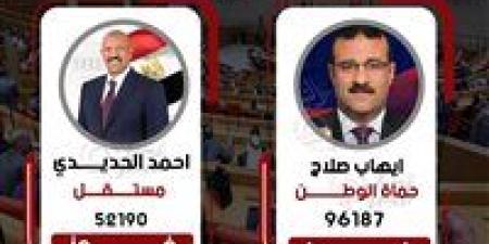 وفقًا للحسر العددي.. فوز مرشح الجبهة وأخر مستقل في دائرة المنزلة بالدقهلية - وضوح نيوز