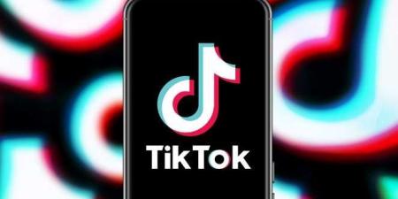 بمشاركة إماراتية وأميركية.. "تيك توك" تؤسس كيانًا مستقلاً لتفادي الحظر - وضوح نيوز