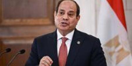 الرئيس السيسى يؤكد دعم مصر لجهود إنهاء الأزمة الروسية الأوكرانية عبر الحلول السياسية - وضوح نيوز