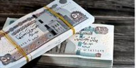 مواعيد مرتبات شهر ديسمبر 2025.. ننشر الجدول الزمني - وضوح نيوز