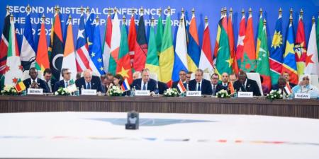 أستاذ العلوم السياسية: منتدى «روسيا–أفريقيا» يؤكد مركزية الدور المصري في دعم القارة - وضوح نيوز