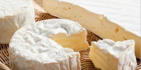 دراسة سويدية تثير الجدل: الجبن والقشدة كاملة الدسم قد يرتبطان بانخفاض خطر الخرف - وضوح نيوز