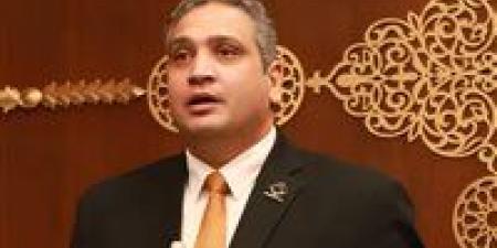 النائب عماد خليل يعلن موافقة التنسيقية على تعديل قانون الكهرباء - وضوح نيوز