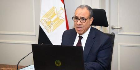 لقاء افتراضي لوزير الخارجية مع الجالية المصرية في كمبوديا وسنغافورا وتايلاند - وضوح نيوز