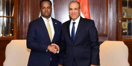 مباحثات مصرية - صومالية حول سبل تعزيز الشراكة ودعم الأمن والاستقرار - وضوح نيوز