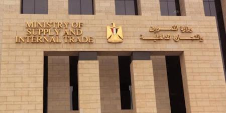 160 مليار جنيه لدعم التموين في 2025.. «كاري أون» أكبر سلسلة تجارية حكومية تنطلق لتطوير الأسواق وتأمين الغذاء - وضوح نيوز