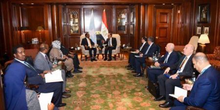 مباحثات مصرية - صومالية حول سبل تعزيز الشراكة ودعم الأمن والاستقرار (التفاصيل الكاملة) - وضوح نيوز