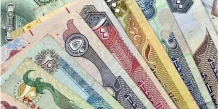 سعر الدرهم الإماراتي في مصر اليوم.. الأحد 21 ديسمبر 2025 - وضوح نيوز